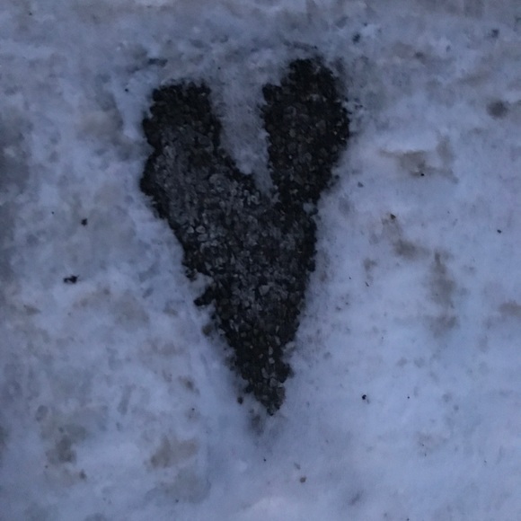 Meet your Posher, Debi - Picture 1 of 1